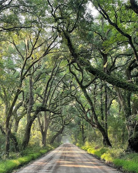 James Island South Carolina, Folly Island South Carolina, Greenwood South Carolina, Edisto Island South Carolina, John’s Island South Carolina, Oak Island North Carolina, Swamp Rabbit Trail South Carolina, Kiawah Island South Carolina, Charleston Trip