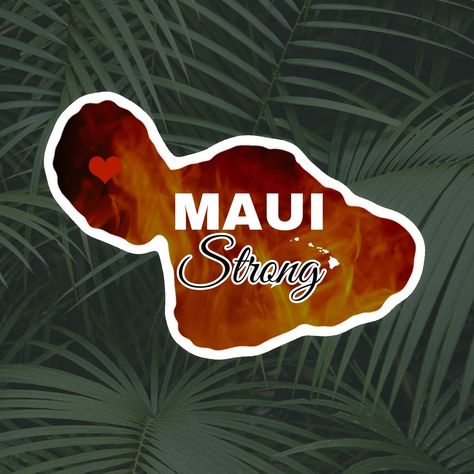 Maui Fire, Maui Strong, Lahaina Hawaii, Hi Love, Rainbow Decal, Support Dog, Love The Earth, Environmental Awareness, Rainbow Stickers