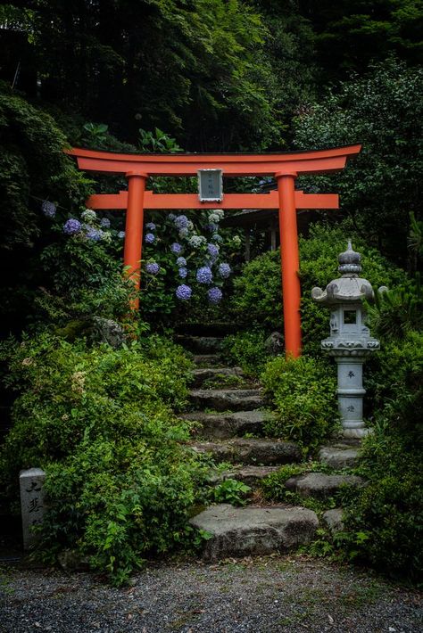 Japanese Gate, Japanese Forest, Japanese Shrine, Japan Landscape, Torii Gate, Japanese Temple, Japanese Garden Design, Japanese Landscape, Japan Aesthetic