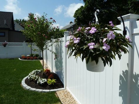 Privacy Fence Landscaping, Fence Trees, Landscaping Along Fence, Fence Plants, Privacy Landscaping, White Fence, Backyard Privacy, Fence Landscaping, Have Inspiration