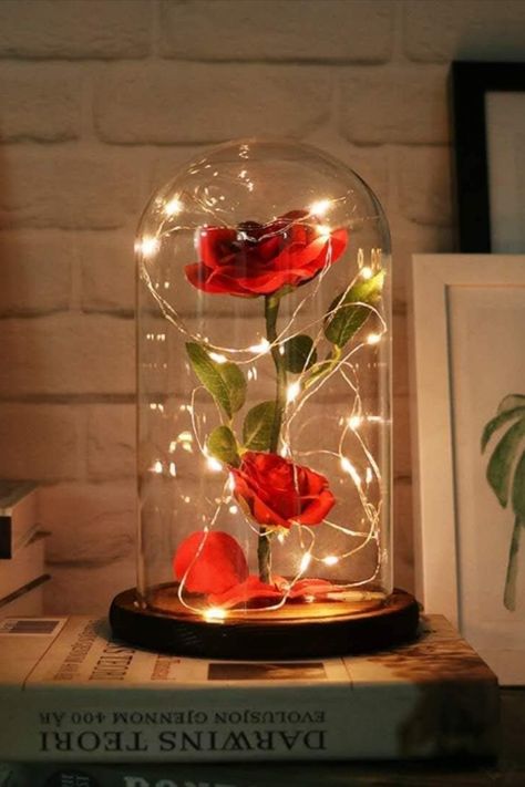 Beauty and The Beast Rose Flowers,Women Gifts Idea Birthday, Unique Gifts for Her,Anniversary Rose Gift Decorations Artificial Flower Gift Romantic Red Silk Rose, Flower in Glass Dome , Home Decor , Aesthetic Home Decor , Rose Decor Beauty And The Beast Rose, Rose Dome, Rosé Christmas, Wedding Water Bottles, Valentines Roses, Wedding Bottles, Enchanted Rose, Forever Rose, Lily Evans