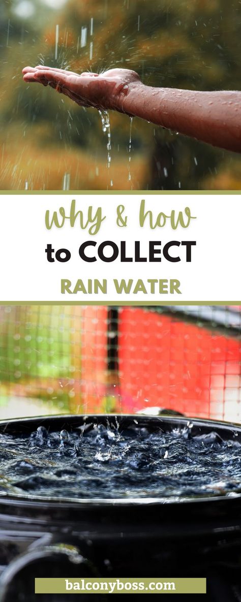 Learn why & how to collect rain water on your balcony in this informative post! There are various options for how to catch rain water depending on the size of your balcony and your current rain runoff system. You can even flush your toilet with it to be more eco-conscious! Learn about proper storage, considerations to take, and how much you need. Click through for all the details! Collect Rain Water Diy, How To Collect Rain Water, Covered Balcony, Rain Collection, Water Bucket, Water Collection, Rain Garden, Rain Water Collection, Small Outdoor Spaces