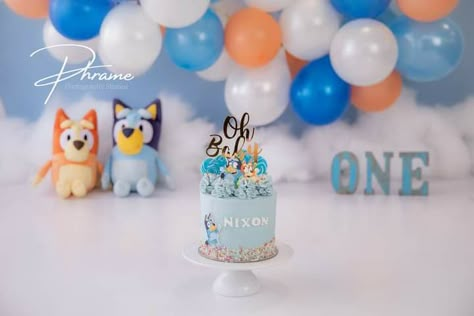 Bluey 1st Birthday Photoshoot, Bluey Cake Smash Photoshoot, Bluey Cake Smash Photography, Bluey Birthday Photoshoot, Bluey Photoshoot, Bluey Smash Cake Boys, Bluey Cake Smash, Bluey Smash Cake, Fiesta Bluey