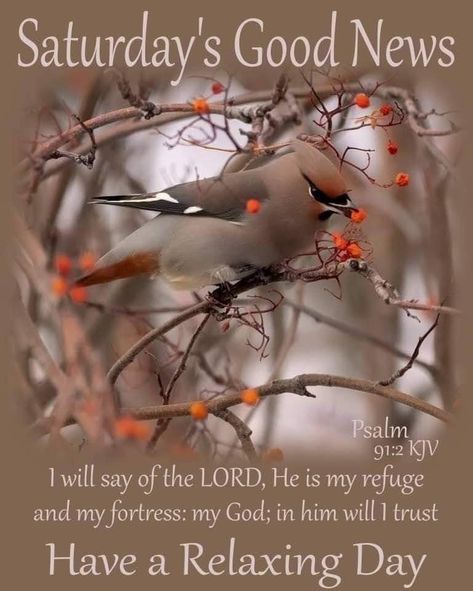 Psalm 91 2, Saturday Blessings, Good Morning Saturday, Memory Verse, Daily Bible Verse, Bible Encouragement, Have A Blessed Day, Relaxing Day, Morning Greeting