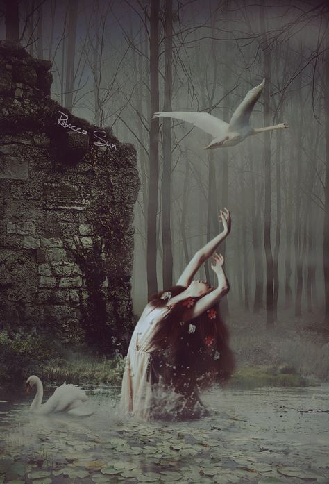 Swan Maiden, Dark Swan, Goth Art, Futuristic Art, Beautiful Dark Art, Fairytale Art, Mystical Art, Big Art, Human Art