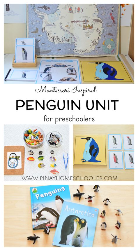 Penguin Unit for preschoolers Penguin Activities, Winter Unit, Penguin Theme, Montessori Geography, Pole Nord, Montessori Preschool, Winter Kindergarten, Montessori Ideas, Alphabet Activities Preschool