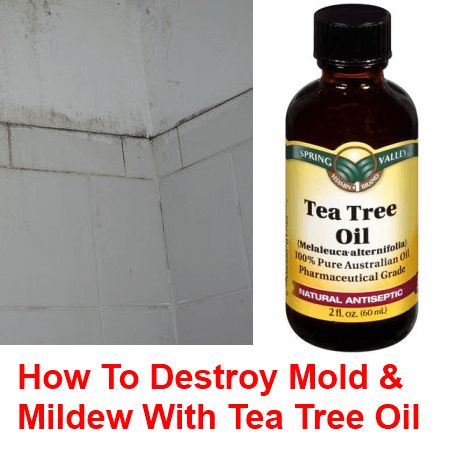 Tea tree oil is well known for its anti-bacterial and anti-fungal properties, but it is mainly used for natural health and beauty purposes; however, tea tree oil is also great for cleaning and it is very effective at removing mold and mildew. It also prohibits their return for a good while afterwards. Many folks will … Clean Hacks, Remove Mold, Mold In Bathroom, Deep Cleaning Tips, Natural Cleaners, Mold Remover, Cleaners Homemade, Clean Dishwasher, Natural Cleaning Products