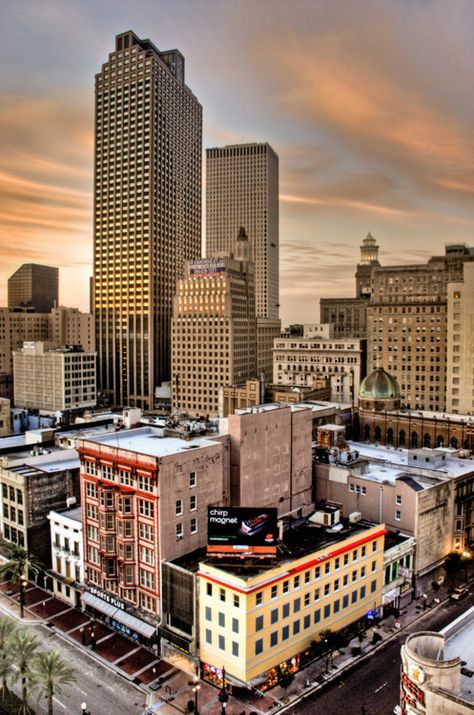 New Orleans Usa Places, Hotel View, Louisiana History, Louisiana Homes, Louisiana Usa, New Orleans Art, Row Boats, City Skylines, New Orleans Mardi Gras