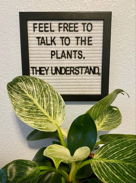 Plant Mom Quotes Funny, Plant Lover Wallpaper, Plant Sayings Funny, Plants Quotes Green, Funny Plant Quotes, Plant Sayings, Plant Jokes, Plant Quotes, Garden Center Displays