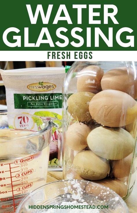 Water Bath Eggs, Glassing Eggs Recipe, How To Store Fresh Eggs, How To Preserve Fresh Eggs, Shelf Stable Pickled Eggs, Water Glass Eggs, Water Glassing Eggs, Pickeled Eggs, Glassing Eggs