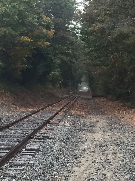 Tracks in seekonk ma or to TERMINUS. #TWD Twd Season 4 Aesthetic, Twd Shifting Scenarios, Twd Landscape, Shifting To Twd, Zombie Survival Aesthetic, Twd Shifting Visuals, Ftwd Aesthetic, Twd Scenery, Apocolypse Aethstetic