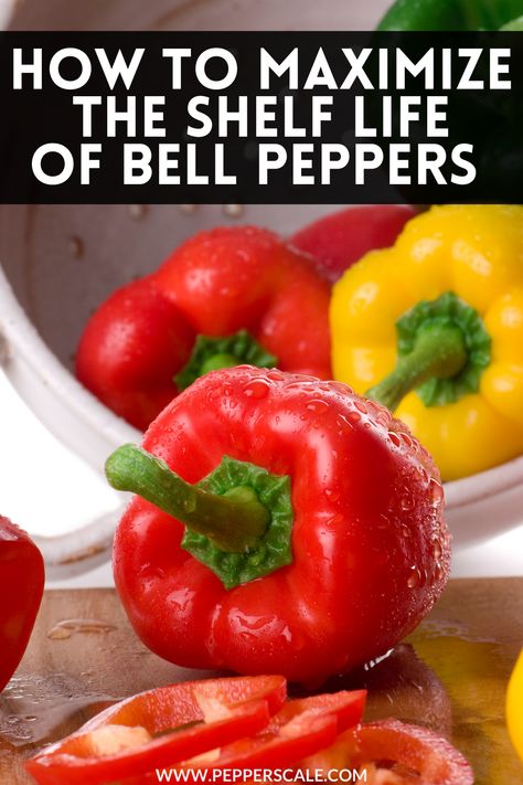 How To Save Bell Peppers, How To Preserve Red Bell Peppers, How To Store Green Peppers, Bell Pepper Storage, Best Way To Store Peppers, How To Keep Bell Peppers Fresh Longer, How To Can Bell Peppers, How To Store Bell Peppers, How To Keep Peppers Fresh Longer