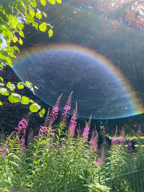 Rainbow Summer Aesthetic, Moss Fairy Aesthetic, Colorful Fairy Aesthetic, Summer Fairy Aesthetic, Rainbow Fairy Aesthetic, Earth Magic Aesthetic, Fairy Magic Aesthetic, Nature Fairy Aesthetic, Ethereal Fairy Aesthetic