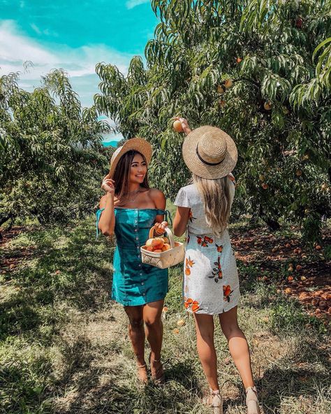 Sweet as a Georgia peach 🍑 #peachpicking #jaemorfarms #trippingwithmybff Peach Picking Outfit, Peaches Photoshoot, Peach Crown Royal Recipes, Peach Photoshoot, Cheesecake Peach, Peach Crown Royal, Crown Royal Recipes, Peach Picking, Peach Cobbler Cheesecake