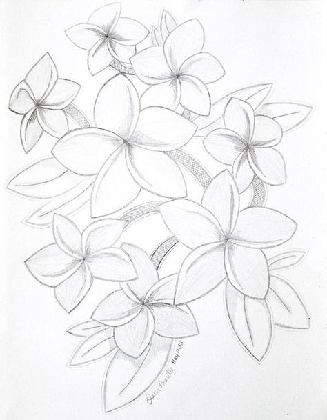 Plumeria Coloring Page, Plumeria Flowers Drawing, Hibiscus Sketch, Hibiscus Drawing, Pencil Drawings Of Nature, Plumeria Tattoo, Pencil Drawings Of Flowers, Draw Flowers, Hawaiian Plumeria