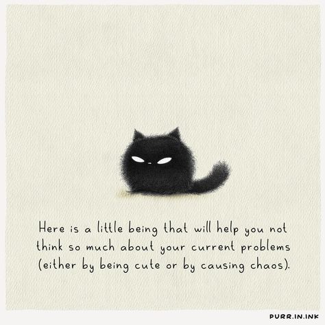 🐾🐾😽 Critter Drawing, Kitty Quotes, Inspirational Animal Quotes, Cat Quote, Cat Attack, Cat Jokes, Cat Talk, Cat Quotes Funny, Cute Animal Drawings Kawaii