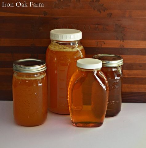 Local, Raw, Pure or Natural Honey? Keeping Backyard Bees Bee Mercy, Treating Bee Stings, Garden Feng Shui, Hunters And Gatherers, Honey Facts, Health Benefits Of Honey, Honey Bee Pollen, Feeding Bees, Seasonal Allergy Symptoms