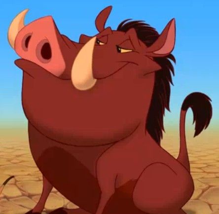 Pumba Lion King, Dreamworks Characters, Simba Lion, Wild Party, Timon And Pumbaa, Disney Background, Disney Addict, The Lion King, Funny Reaction Pictures