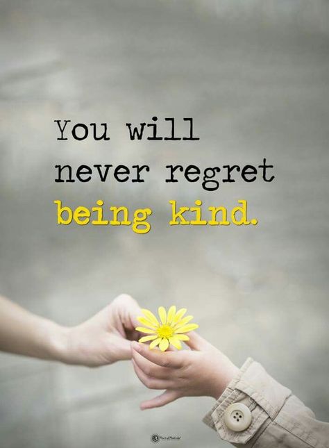 ‘You will never regret being kind.’ #quotes #quote #kindneS A Course In Miracles, Never Regret, Kindness Quotes, Intj, Quotes For Kids, Beautiful Quotes, Morning Quotes, Meaningful Quotes, The Words