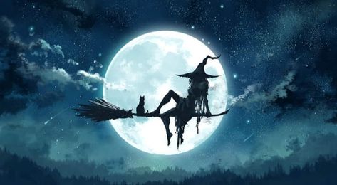 Halloween Live Wallpaper, Witch Wallpaper, Planet Poster, Cover Pics For Facebook, Fantasy Witch, Witch Tattoo, Halloween Graphics, Canvas Picture, Witch Art