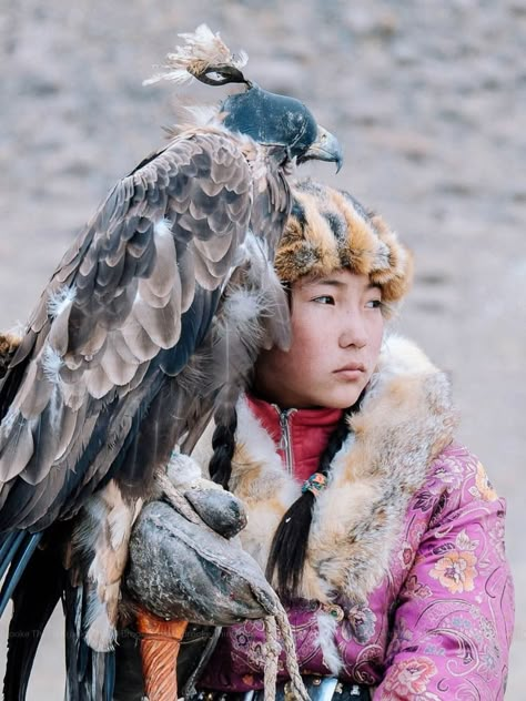 Behind the Scenes of Mongolia's Golden Eagle Festival • Roamscapes Mongolian Dress, Eagle Hunter, Golden Eagle, Mongolia, Festival