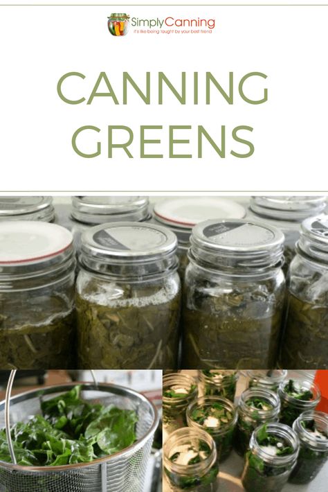 Canning Turnip Greens, Canned Greens Recipe, Canning Greens, Canning Beets, Preserving Recipes, Simple Foods, Pressure Canning Recipes, Canned Foods, Canning Vegetables