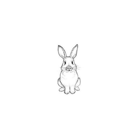 House Rabbit Rubber Stamps (RubberHedgehog.com) ($8) ❤ liked on Polyvore Hase Tattoos, Petit Tattoo, Bunny Tattoos, Tattoo Trend, Rabbit Tattoos, Images Kawaii, Desenho Tattoo, Bunny Art, Animal Tattoos