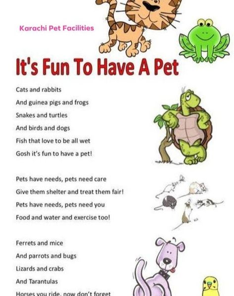 A cute poem to entertain our cute little clients who always feel excited when visit us😊 Always teach your children to love and respect animals and birds in a fun way😘 #childrenillustration #kid #kids #child #poem #poems #pet #petlovers #pets #animallovers #animal #animals Poems About Dogs, Pet Poems, Dog Poems, Poems For Kids, Kids Poems, Feeling Excited, Animals And Birds, About Dogs, Love And Respect