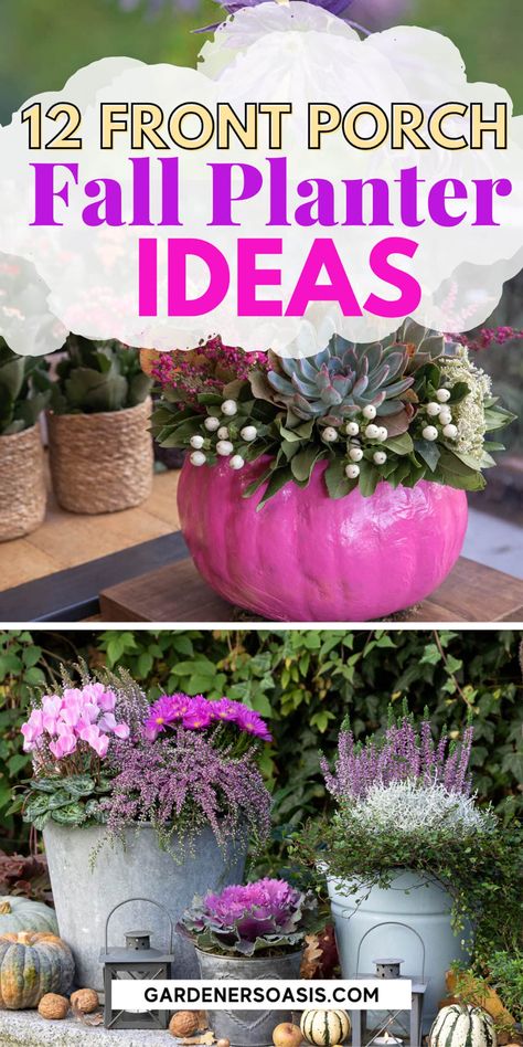 From pumpkins, to mums and gourds, find the best and most creative front porch fall planters ideas to decorate your front door for the fall season! Planter Ideas Outdoor, Fall Planter Ideas, Mums And Pumpkins, Licorice Plant, Potted Mums, Front Porch Garden, Mums In Pumpkins, Front Porch Flowers, Planters Ideas