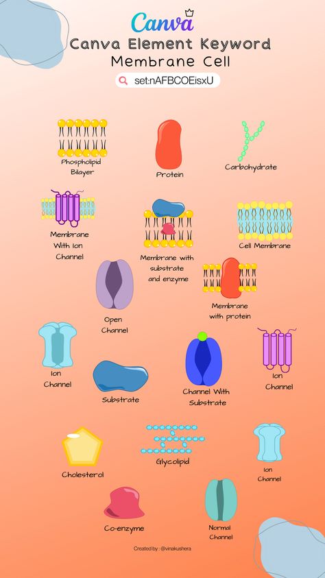 Biology (membrane cell illustration). This is canva pro. Don't forget to follow me :) Cell Membrane Drawing, Cell Illustration, Color Coding Notes, Canva Codes, Biology Projects, Ceramic Tile Art, Graphic Design School, Graphic Shapes Design, Keyword Elements Canva