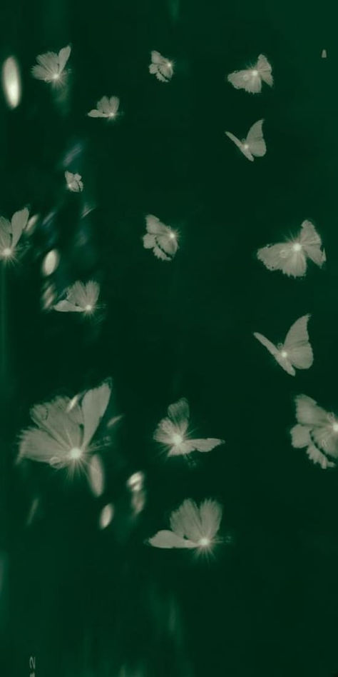 st. patrick's day wallpaper: aesthetic butterflies St Patrick's Day Wallpaper, Enchanting Wallpaper, Green Vibe, Day Wallpaper, Green Aesthetic, Beautiful Wallpapers, St Patrick, Ideas Style, Wallpaper Backgrounds