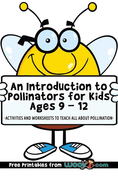 An Introduction to Pollinators for Kids Ages 9 – 12 Bee Pollination Activities For Kids, Pollinator Crafts For Kids, Pollinators For Kids, Pollinator Activities For Kids, Pollination Activities For Kids, Pollinator Activities, Pollination Activities, Pollination Activity, Environmental Club