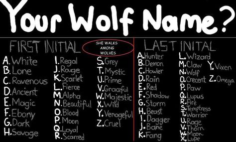 Your Wolf Name, Funny Name Generator, Dark Rain, Name Maker, Birthday Scenario, White Claw, Fantasy Names, Wolf Quotes, Alfabet Letters