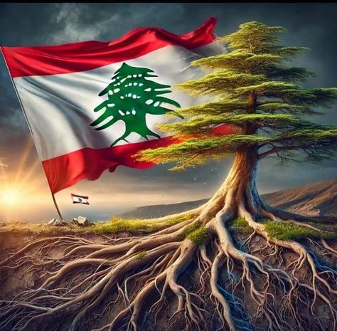 Lebanese Americans Official | Lebanon routs are strong and our green cedar will not be removed. Keep our flag high and proud. #MyLebanon #AmazingLebanon… | Instagram Lebanon Art, Lebanese Flag, Lebanon Flag, Beirut Lebanon, Army Flag, Draw On Photos, Beirut, Lebanon, Flag