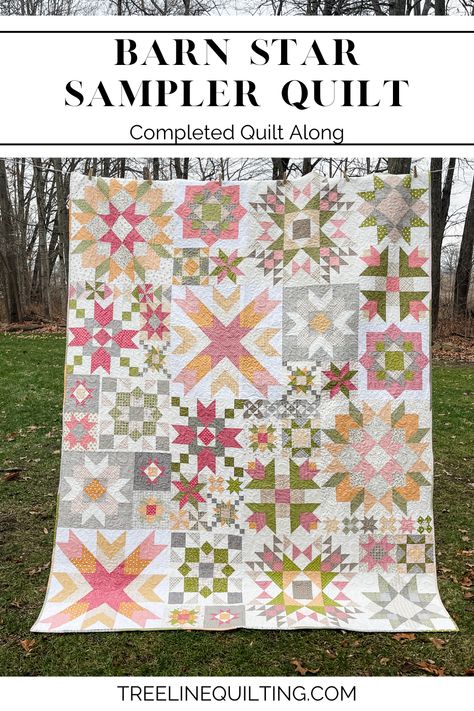 🌟 Dive into the enchanting world of Barn Star Sampler Quilt Book and follow my exciting quilting journey 🌟. Discover my completed quilt along, the beauty of scrappy binding, and much more. Ready to be a part of the adventure? 😊 More details on the blog! Star Sampler Quilt, Scrappy Binding, Quilt Design Wall, Quilt Blocks Easy, Quilt Book, Spring Chicken, Quilt Sewing Patterns, Sampler Quilts, Embroidery Sampler