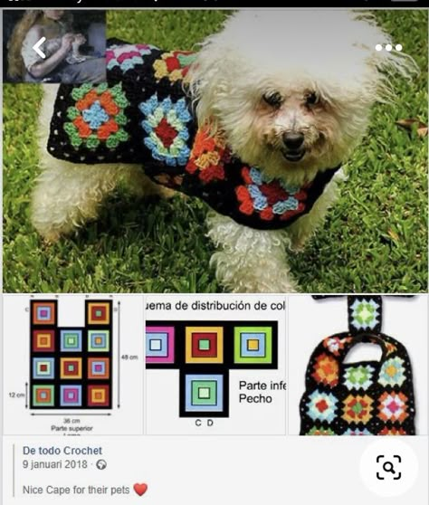 Crochet Pets Clothes, Granny Square Dog Sweater Pattern, Dog Crochet Sweater, Dog Clothes Crochet, Crochet Dog Sweater Free Pattern, Crochet Dog Clothes, Dog Sweater Crochet Pattern, Dog Sweater Pattern, Dog Crochet