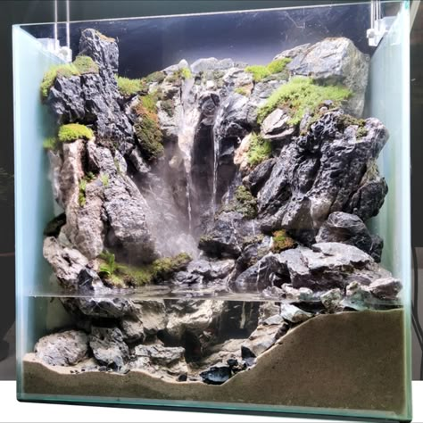 check out how this paludarium been made on youtube #paludarium #aquaterrarium #terrarium #waterfall #aquatic #seiryu #seiryu stone aquascape #bonsai #river #aquarium design #paludarium waterfall #paludarium waterfall aquascaping #aquascaping#mist maker #create waterfall #diy realistic waterfall Terrarium Waterfall Diy, Seiryu Stone Aquascape, Paludarium Ideas Diy, Paludarium Diy How To Build, Paludarium Ideas Waterfalls, Paludarium Waterfall Aquascaping, Waterfall Vivarium, Paladarium Design, Aquascape Design Natural