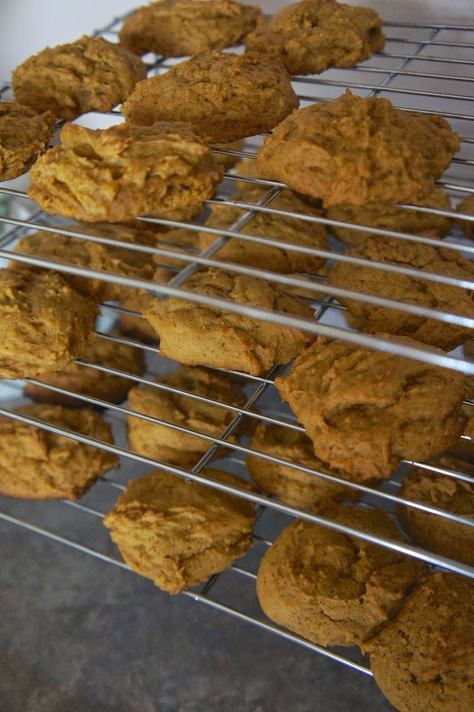 Soft Pumpkin Cookies, Everyday Meals, Pumpkin Cookies, Old Fashion, Canned Pumpkin, Cookies Ingredients, Cookie Desserts, Sweet Savory, Old Fashioned