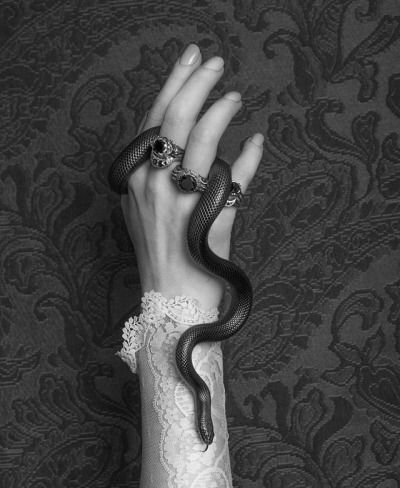 Little snake on a feminine hand, monochrome. Not mine :) Rabastan Lestrange, Walburga Black, Pretty Snakes, Cute Reptiles, Slytherin Aesthetic, Albus Dumbledore, Gothic Aesthetic, Witch Aesthetic, Fantasy Aesthetic