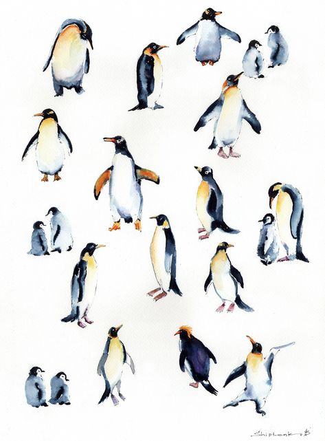 Penguins Art of Original Watercolor Painting Penguin Painting Watercolor Sketch Animal Painting Watercolor Art 11 X 14 by Bogdan Shiptenko - Etsy Ukraine Arctic Penguins, Adventure Artwork, Penguin Watercolor, Hawaii Painting, Monochrome Painting, Hawaii Wall Art, Sports Painting, Boat Wall Art, Urban Painting