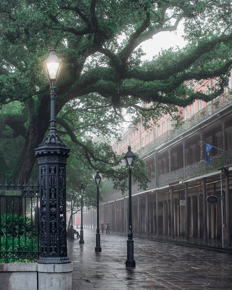 The rain and fog don't make for great hair days but don't you think it makes the French Quarter enchanting! Pictures Of Beautiful Places, Louisiana History, San Myshuno, Louisiana Travel, Rainy Morning, Jackson Square, New Orleans French Quarter, New Orleans Homes, New Orleans Louisiana