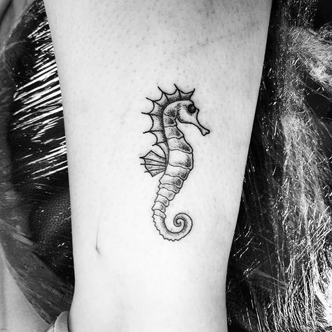 Caballito de mar para Marina. Mil gracias por volver a confiar en mí En @fixuno_ink_tattoo ......#tattooedgirls #tatuaje #tattoo #ink #bodyart #bodyink #tinytattoo #seahorse #seahorsetattoo #art #artlife #inklife #blackinktattoo #blackwork #blackworkers #blackworktattoo | Artist: @aguanile_ink Seahorse Ankle Tattoo, Sea Horse Tattoo, Seahorse Tattoos, Horse Tattoo Ideas, Wolf Tattoos For Women, Starfish Tattoo, Small Wolf Tattoo, Horse Tattoo Design, Seahorse Tattoo