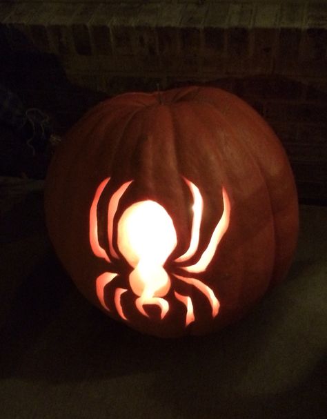 Pumkin Carve, Spider Pumpkin Carving, Spider Pumpkin, Carved Pumpkins, Pumpkin Spider, Pumpkin Carving, My Family, Pumpkins, Carving