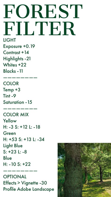Perspective Photography, Editing Tricks, Photography Basics, Photo Editing Tricks, Lightroom, Photo Editing, Color Mixing, Filter, Forest