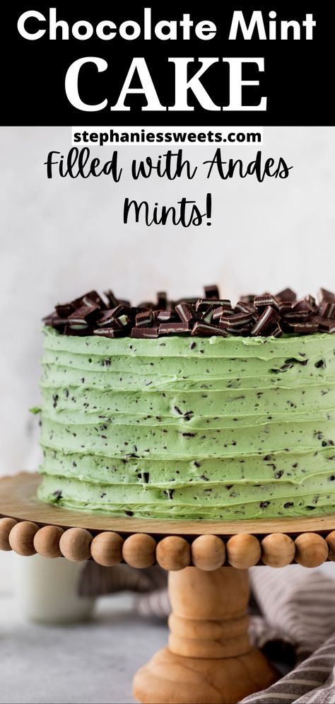 Chocolate Cake With Mint Frosting, Mint Chocolate Chip Cake Recipe, St Patrick Cake, Andes Mint Cake, Rainbow Stew, Mint Chocolate Chip Cake, Three Layer Chocolate Cake, Chocolate Mint Cake, Layered Chocolate Cake