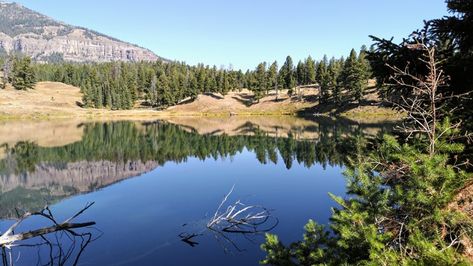 Trout Lake, Small Waterfall, Yellowstone National, Yellowstone National Park, Hiking Trip, Rio Grande, Lake View, Scenic Views, Trip Planning