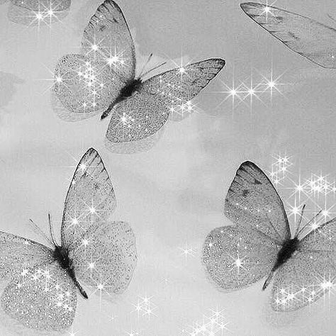 White Asthetics Wallpaper, White + Core + Aesthetic, Cybercore Aesthetic, Aesthetic Clean, Butterfly Background, Black And White Picture Wall, Silver Wallpaper, Crystal Aesthetic, Gray Aesthetic