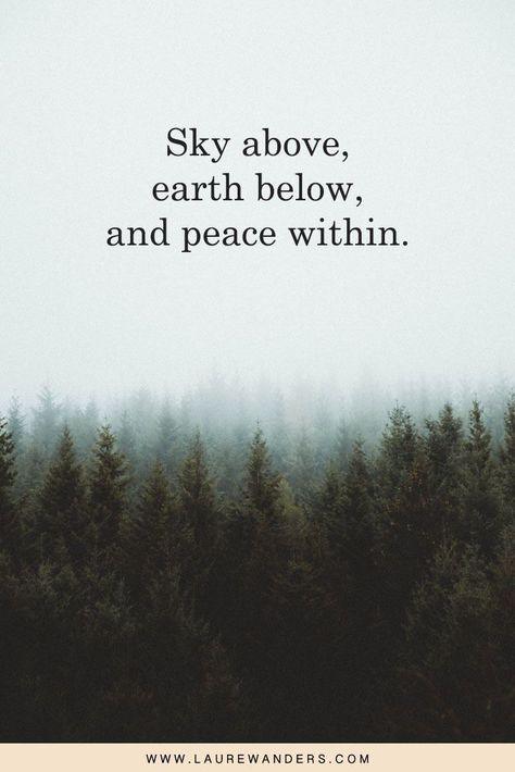 This post features some of the most beautiful nature quotes and captions. Whether for your Instagram picture or for inspiration. Short Nature Quotes, Forest Quotes, Citation Nature, Nature Quotes Inspirational, Mother Nature Quotes, Fina Ord, View Quotes, Best Travel Quotes, Instagram Quotes Captions