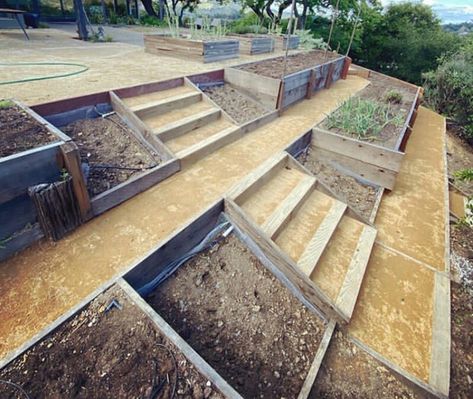 Inclined Garden Ideas, Raised Beds On A Slope, Uphill Backyard Ideas, Garden Ideas Sloped Yard, Garden Design On A Slope, Tier Garden Ideas, Terraced Vegetable Garden, Backyard Hill Landscaping, Tier Garden