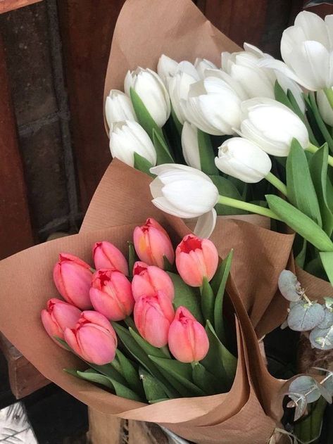 #tulips #flowers Boquette Flowers, Nothing But Flowers, Flower Therapy, Beautiful Bouquet Of Flowers, Pink Tulips, Spring Vibes, Tulips Flowers, Brown Paper, Beautiful Bouquet